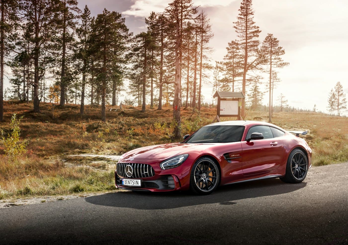 Mercedes-Benz AMG GT S, 2019